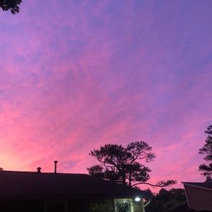 Meet your Posher, Lizbeth